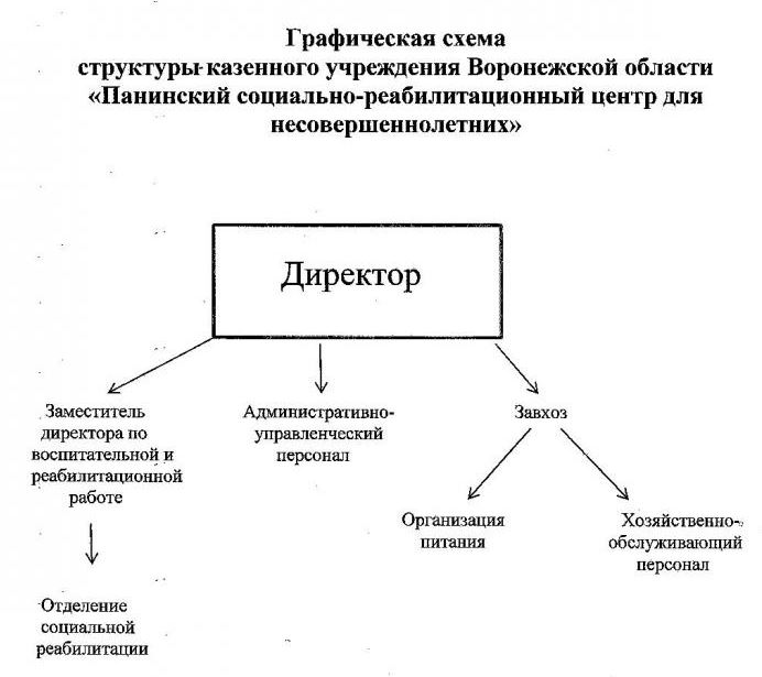 Орган управления казенного учреждения. Структура казенного учреждения.